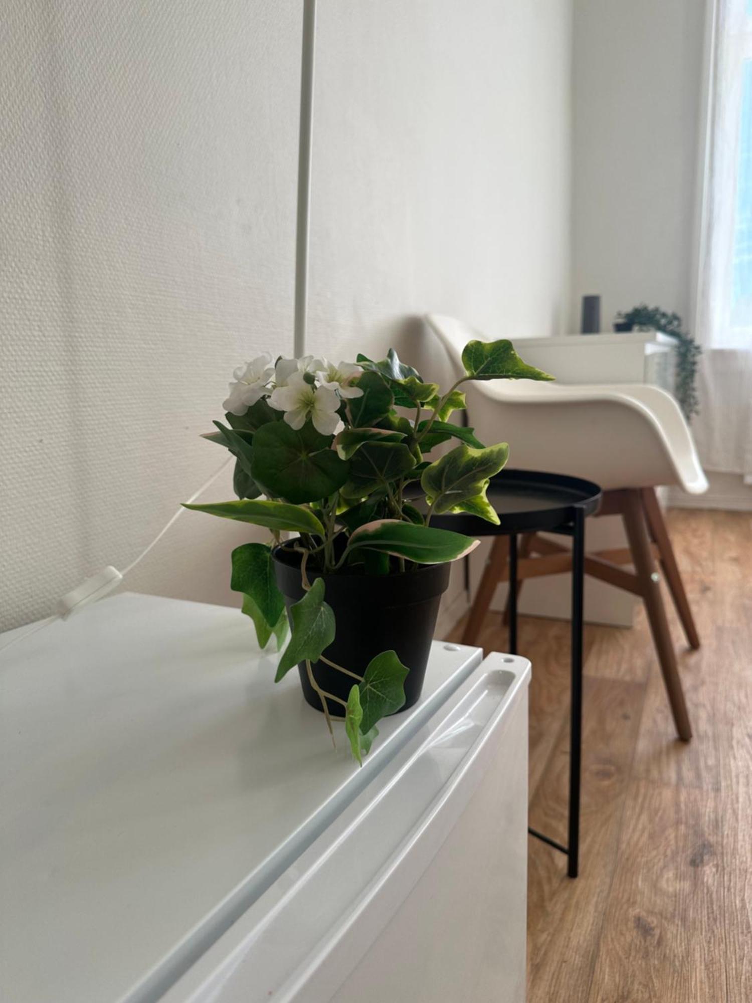 The Bloom Apartments أوسلو المظهر الخارجي الصورة